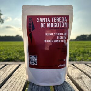 Santa Teresa de Mogotón